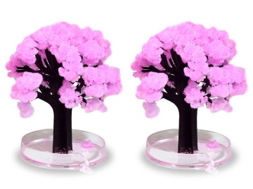AKCE - 2x Kouzelný strom Sakura
